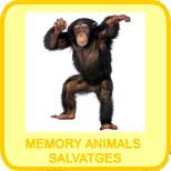 Memory animals salvatges